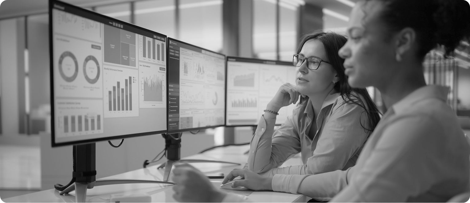 As part of enterprise application management, an employee looks at analytics to monitor the performance of a new third-party application for his organization